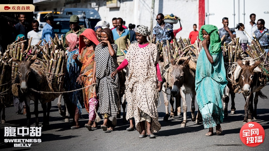 颠沛流离诘问“何处是家”，难民题材影片《腹中甜》欢喜首映独播上线