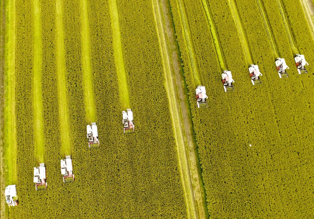 增长拼不动了，拼多多还能拼什么？