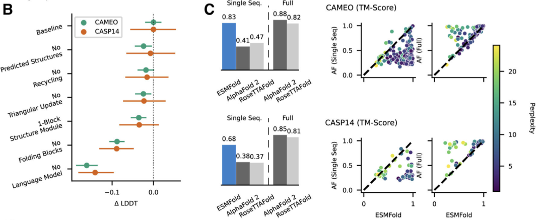 快了一个0！Meta祭出150亿参数蛋白质大模型，碾压AlphaFold2