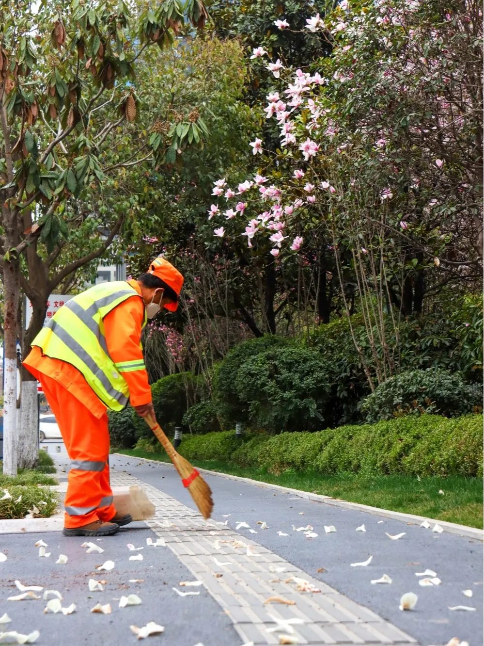 ����������������ץ��ʵ �̻�����������