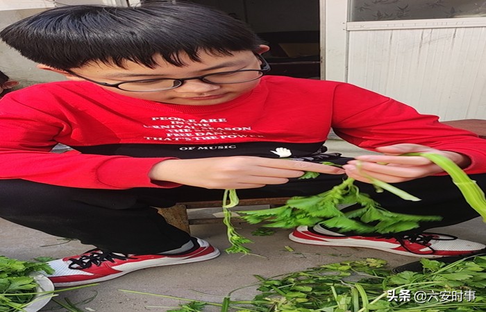 六安東橋希望小學(xué)開(kāi)展線上勞動(dòng)教育活動(dòng)(圖3)