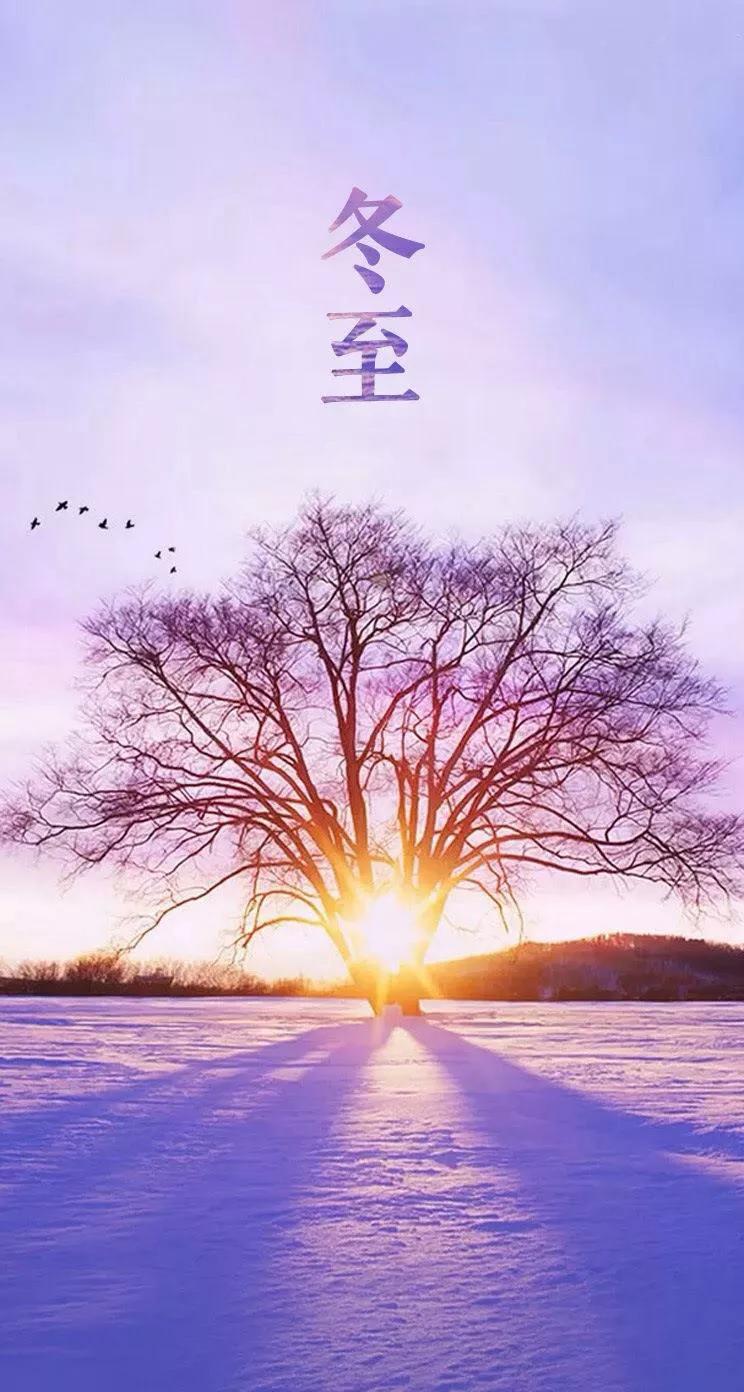 江城子*冬至(八首)