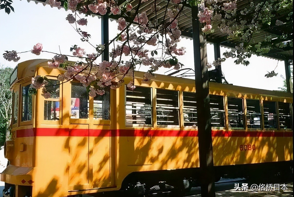 日本留学，这些文科专业是大热门