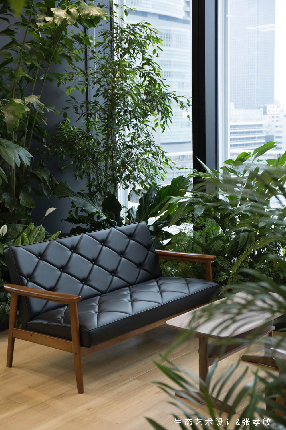 300平办公室室内绿化(300平办公室平面布置图) | 布达拉宫-星座风水