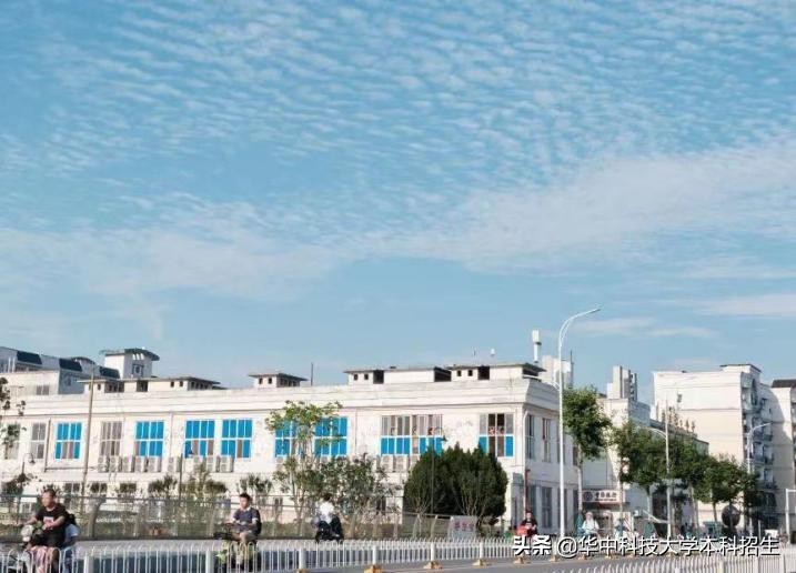 志愿填报必看！就业“绿牌专业”一次性曝光，华中科技大学已开设9个！