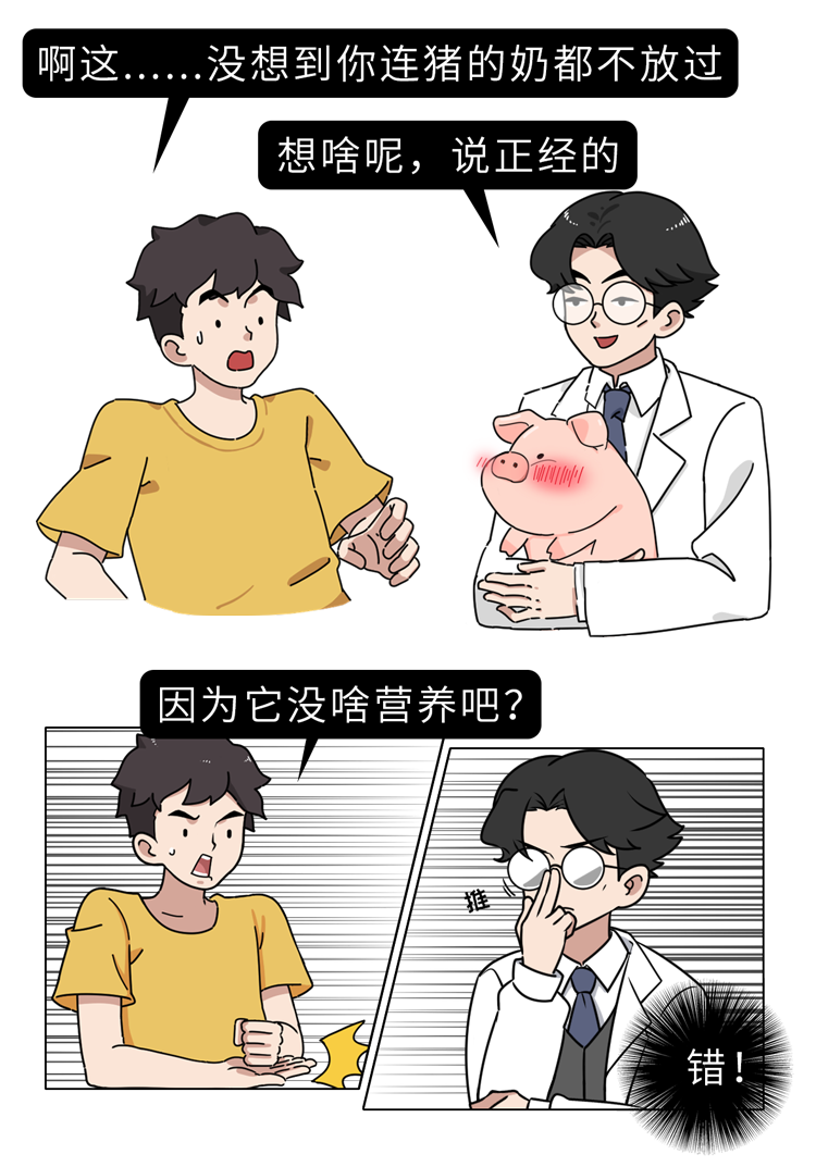 “猪奶”是什么味道？为什么没人喝？其实，它的营养比牛奶还要高