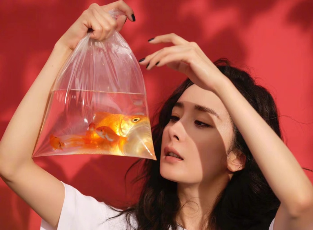 正在迷茫的女孩｜建议你看看杨幂的清醒发言