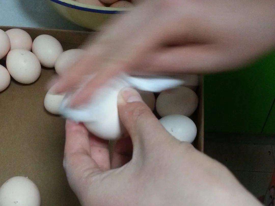 三步咸鸭蛋！沙子里出油还不咸，半个月就可以吃了。