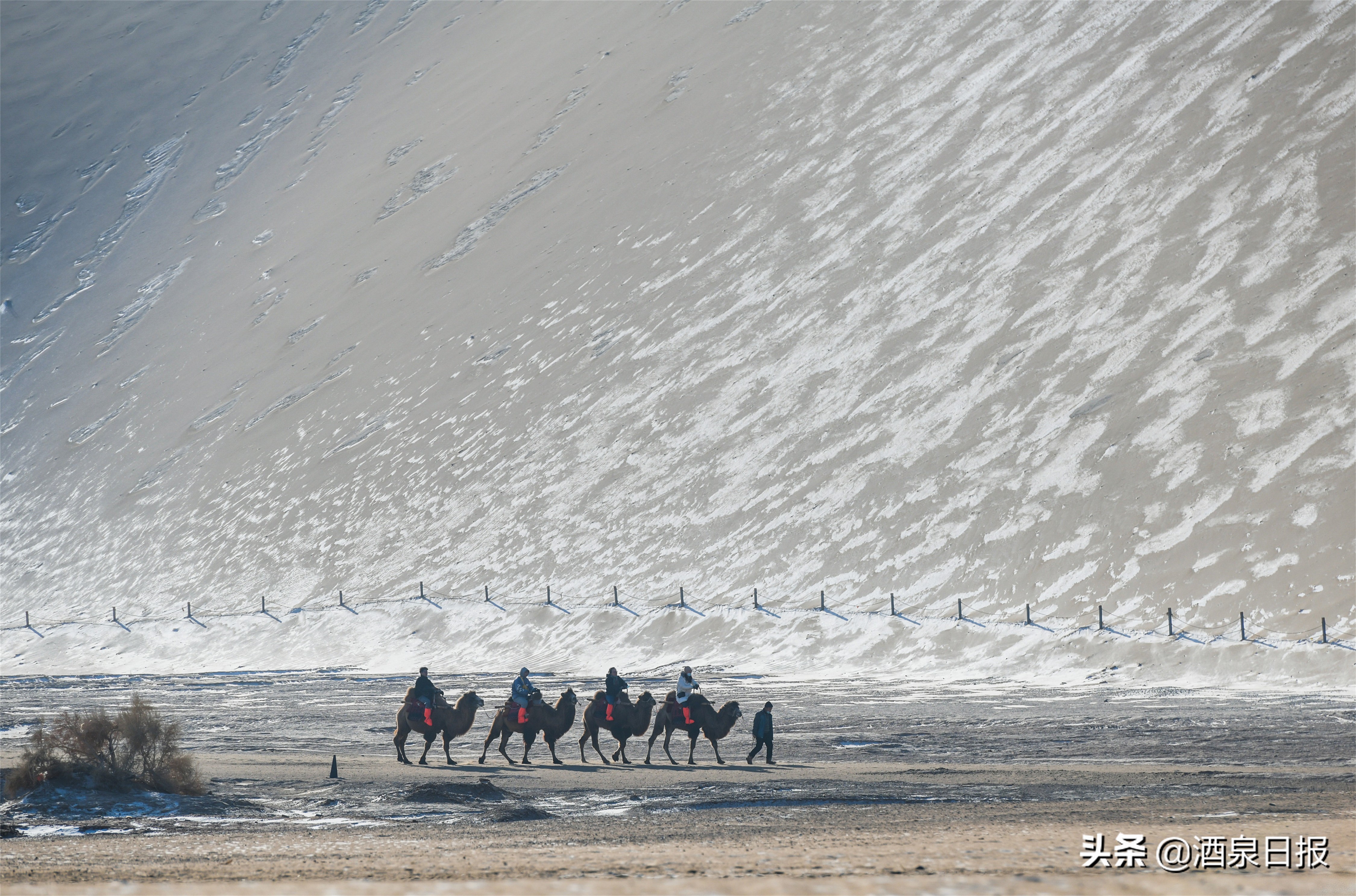 雪落敦煌寂静无声 大漠山泉如诗如画