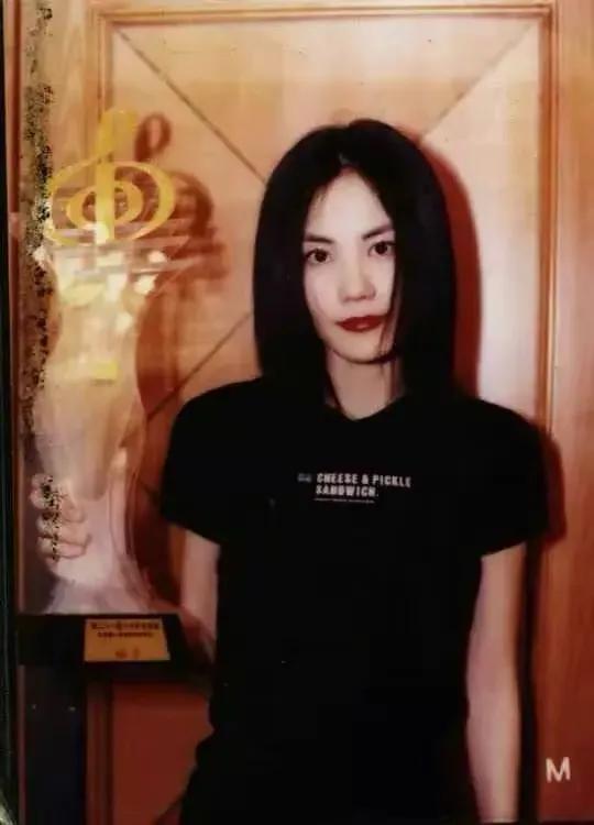 王菲，25张精美的照片