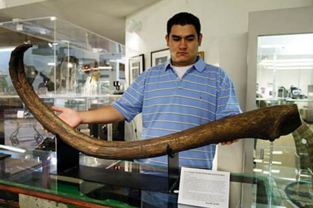 ����Ϊʲô��ʧȥ�������ǡ��������ǽ������ƣ����ǵ����ˣ�