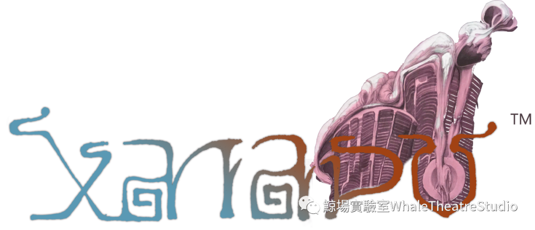 异次元宇宙中的虚构文明，旅美艺术家庞楠个展于深圳开幕