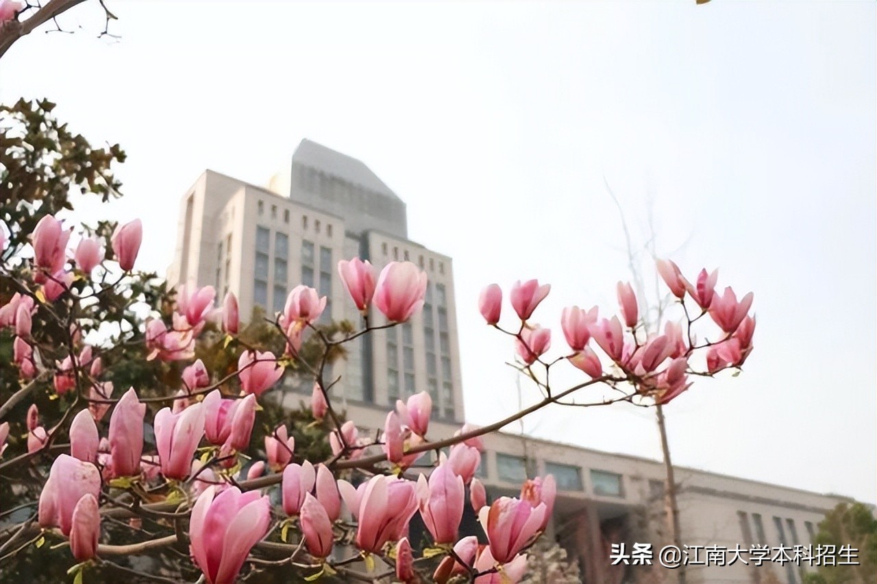 官宣！又一名单公布：全国这422个专业进入全球工程教育“第一方阵”！