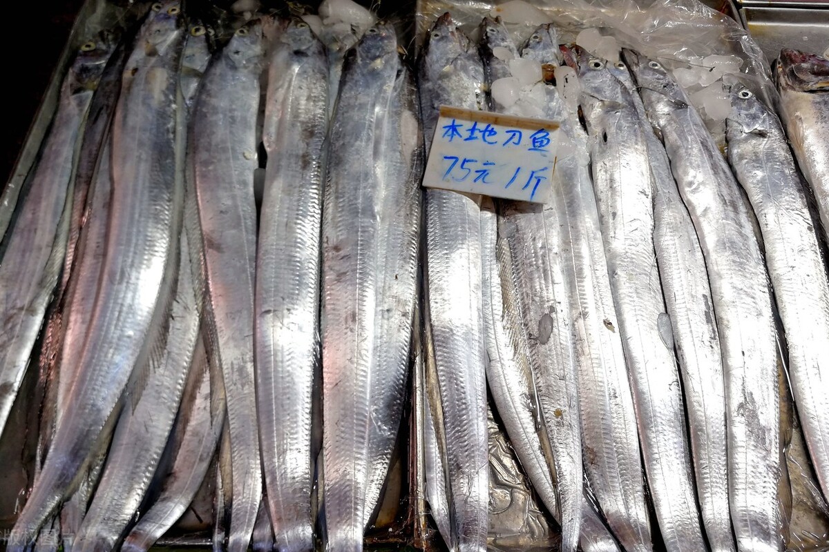 买带鱼时，要区分“黄眼睛”和“黑眼睛”，差别很大，看懂再买