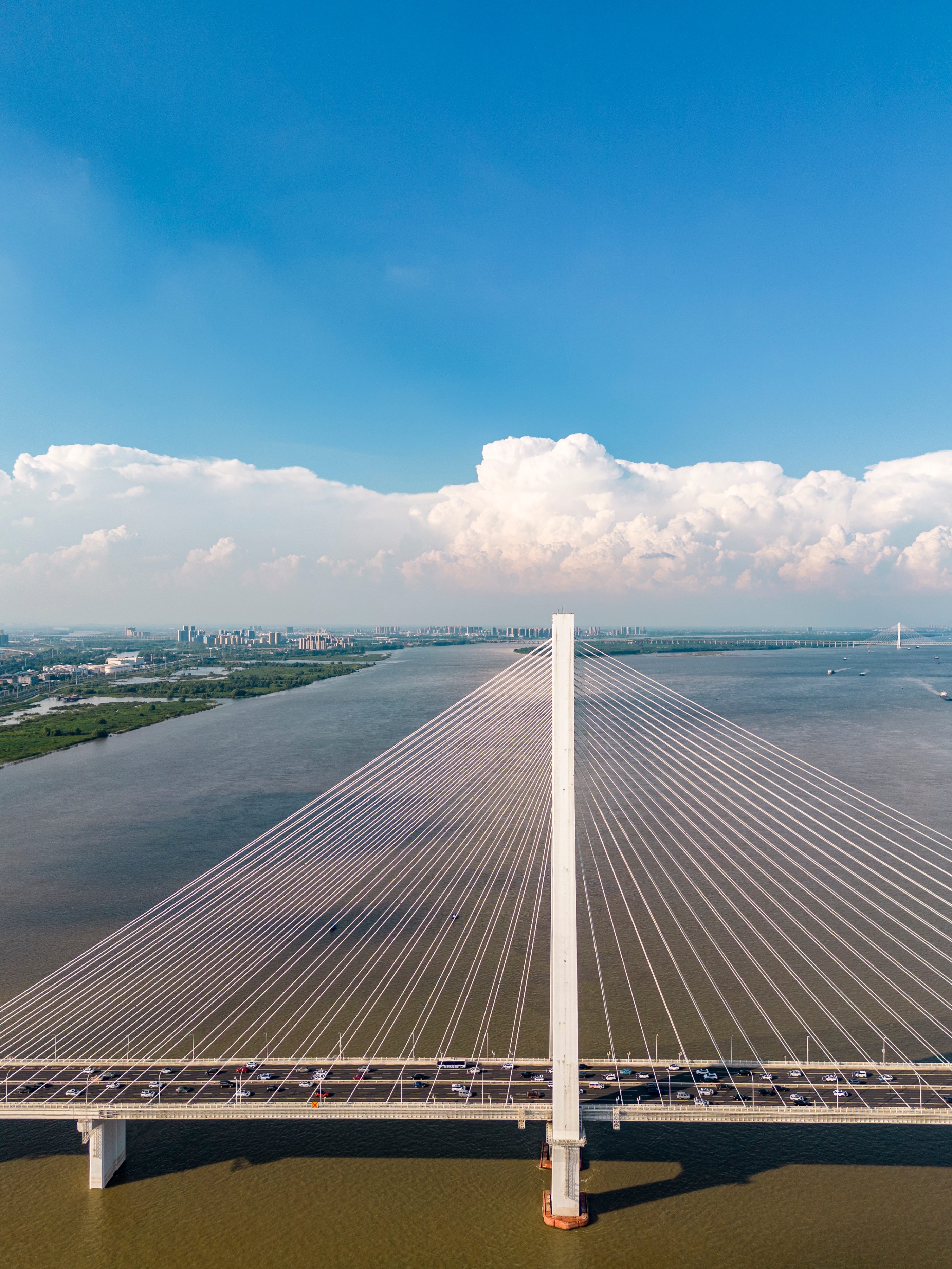 比亚迪6月销量又创佳绩