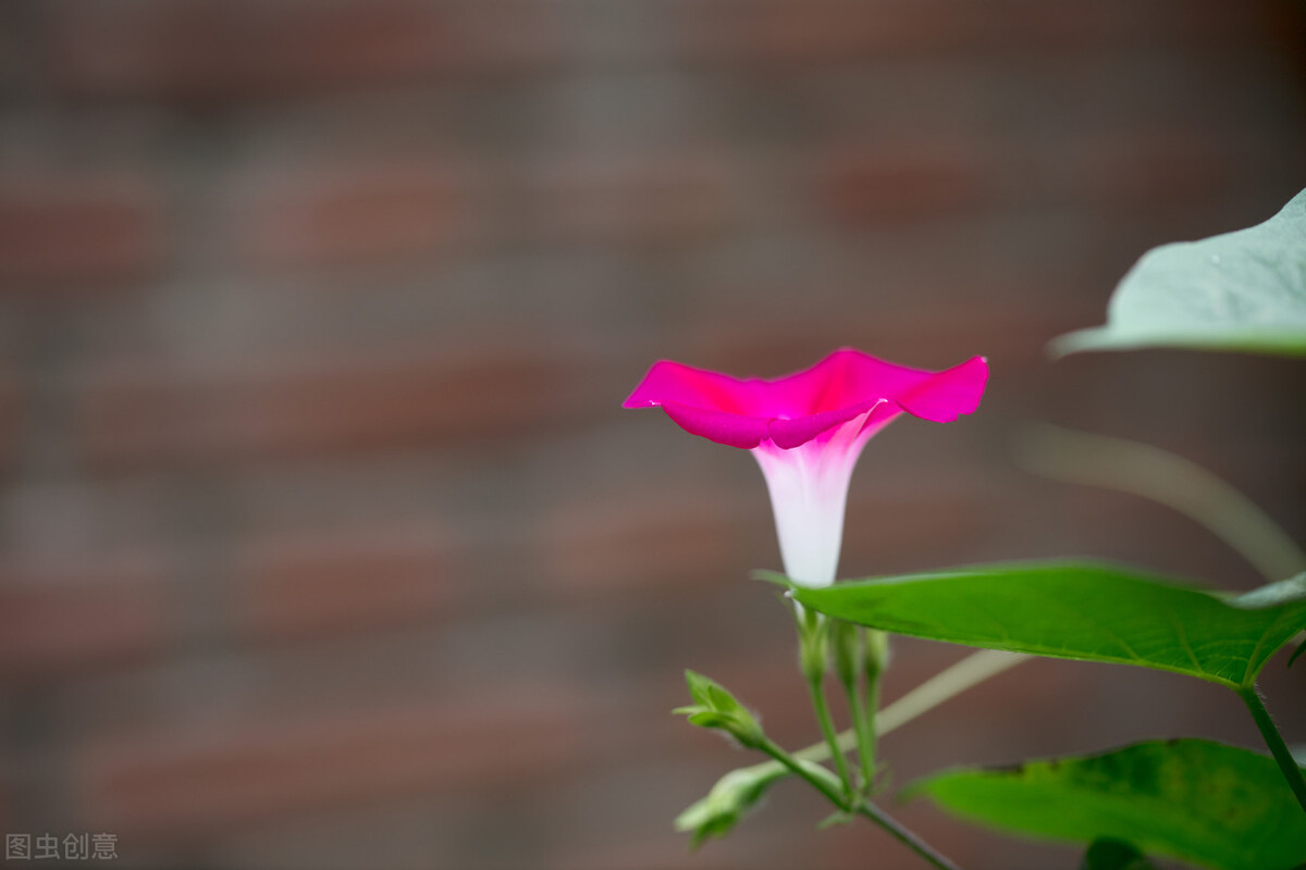 写作，就是注意力的争夺