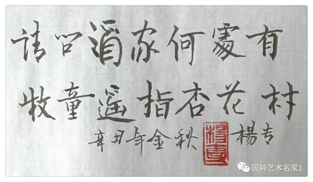 国粹艺术名家——杨专