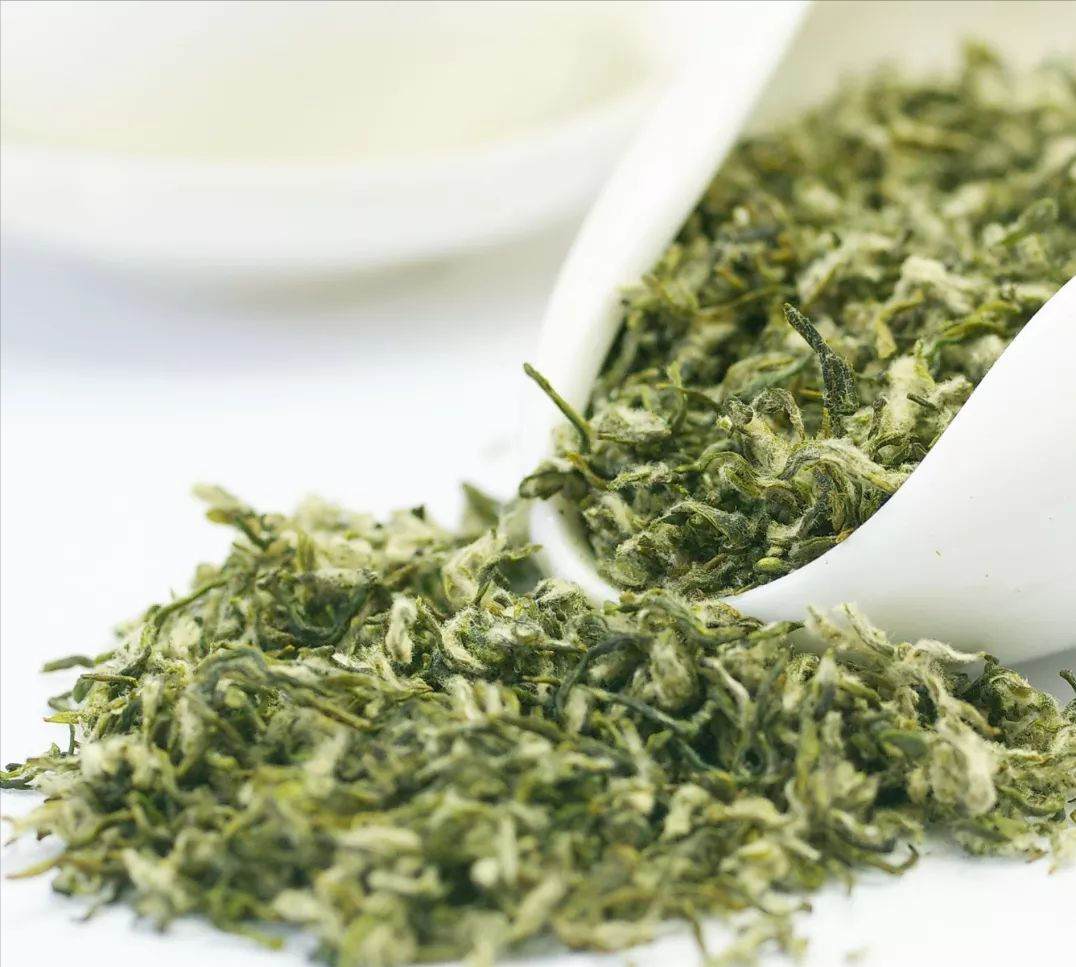 什么牌子的綠茶好,