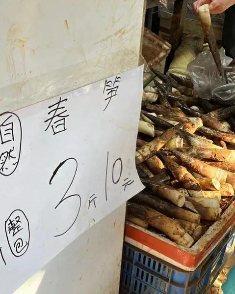 为了提前退休，28岁杭州女生每个月只花700块，从不外食……
