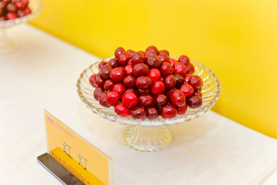 �������й����γ�ӣ����Ӫ������5��18���ڳγ���ӣ�Ҳ�ҵ��������