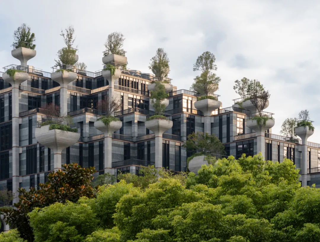 赞美生活的空间｜居住建筑设计节选