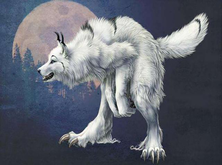 狼和狈的视频故事图片