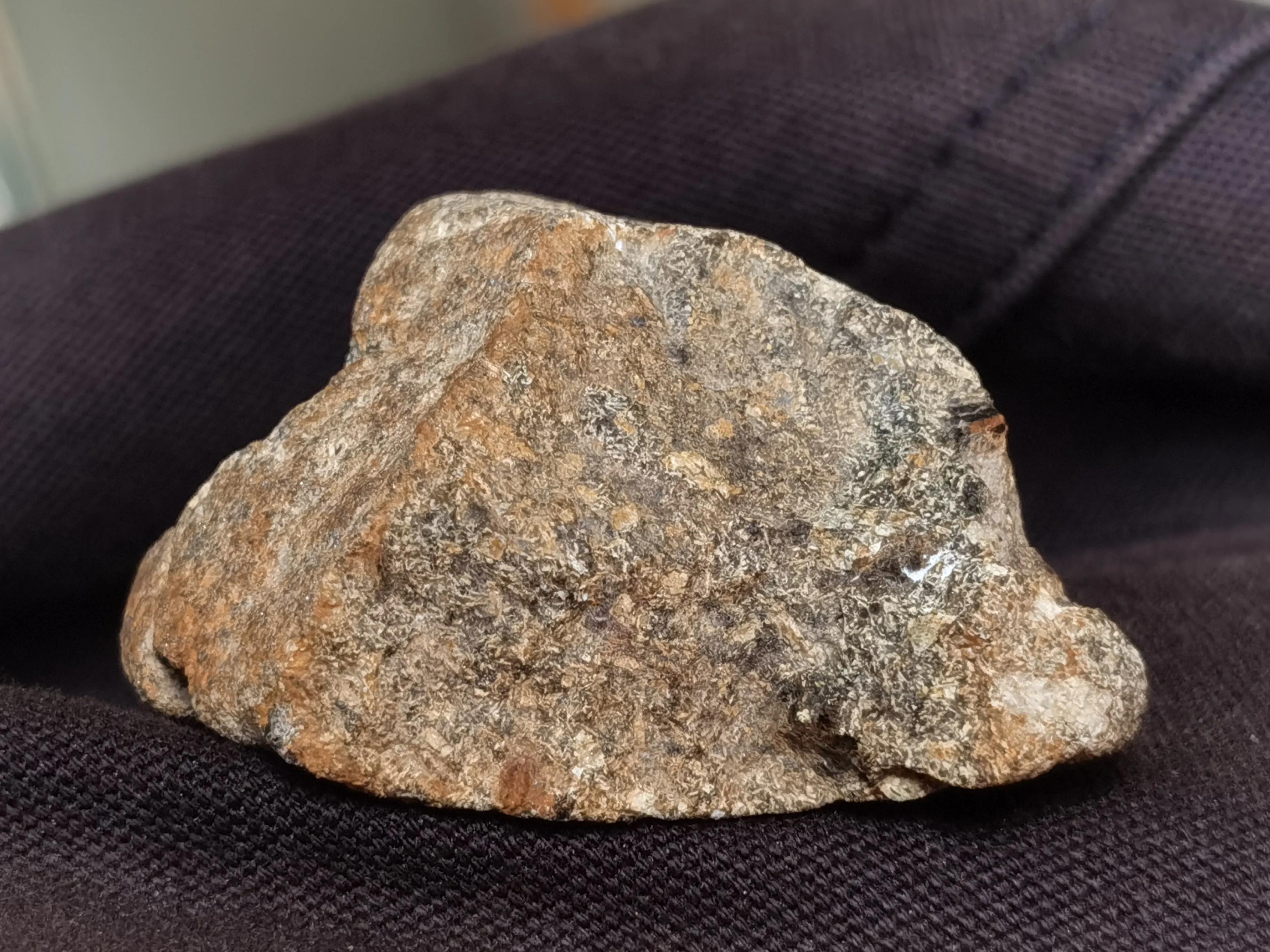 火星橄榄石陨石