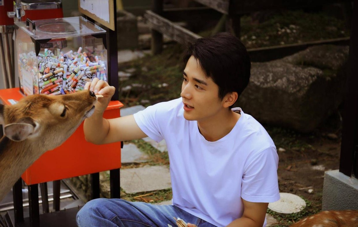 张新成成绩神话(张新成高考成绩多少分)_体育娱乐_闻登网