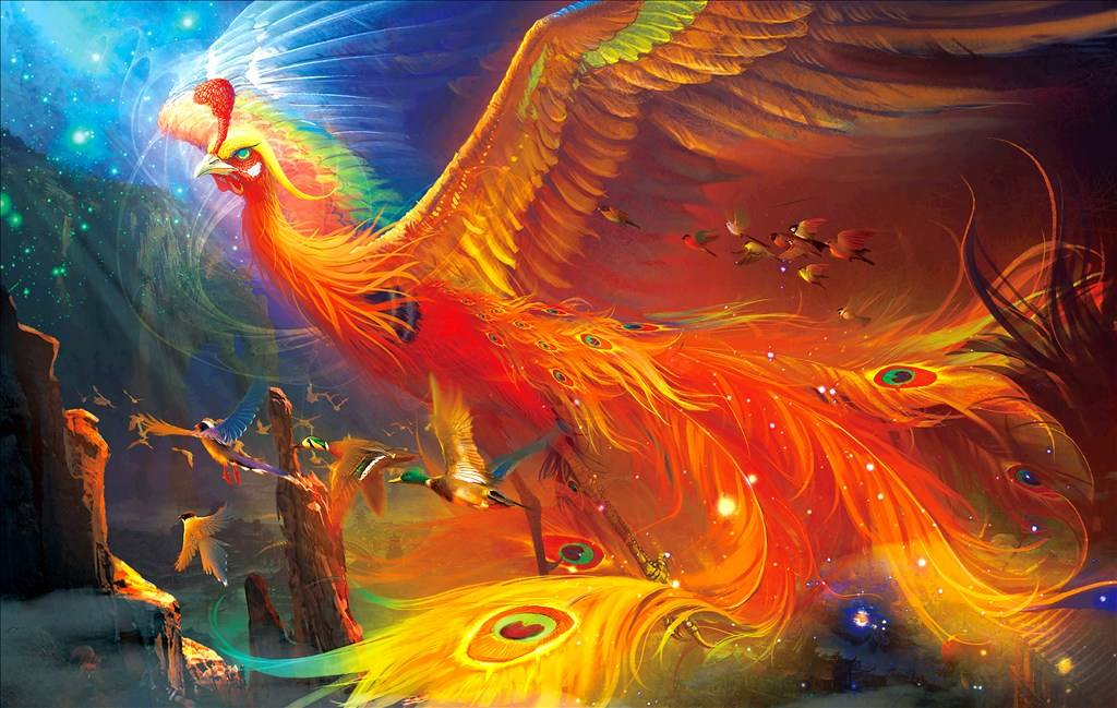 凤凰长什么样子的图片(神鸟凤凰真的存在吗) - 赤虎壹号
