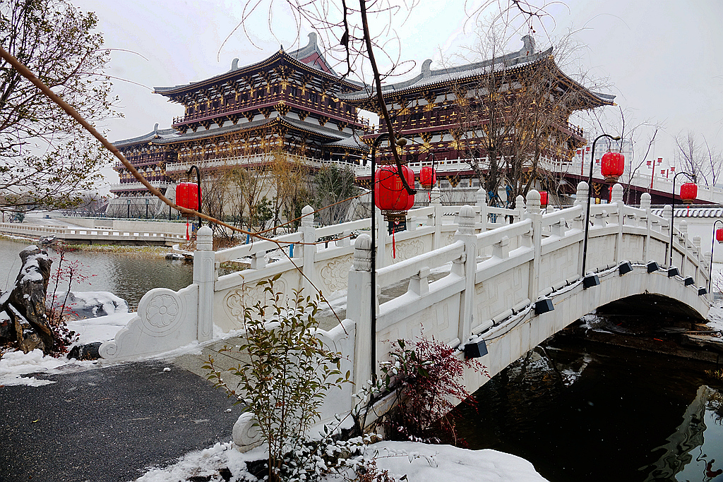 雪游九洲池