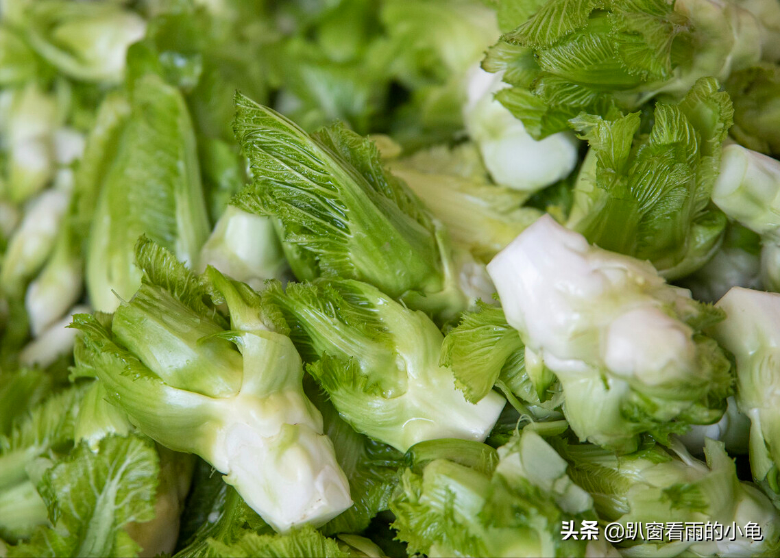 蔬菜大全图片和名字(入冬后天气干) - 赤虎壹号