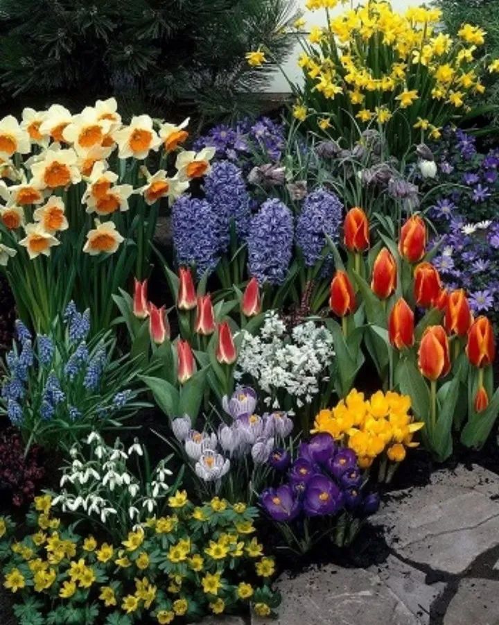 25种花境设计，让生活更美好，你最喜欢哪种？