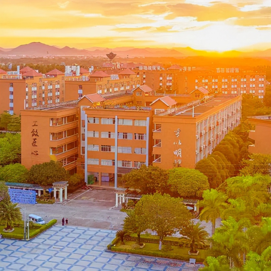 都什么时候了 你还不会填志愿？择校、选专业...一条龙教程献上