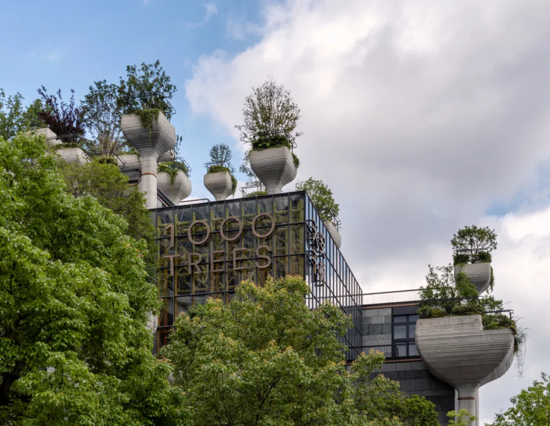 赞美生活的空间｜居住建筑设计节选