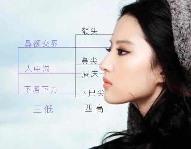 面部美学所说的三庭五眼,四高三低分别指的是什么?