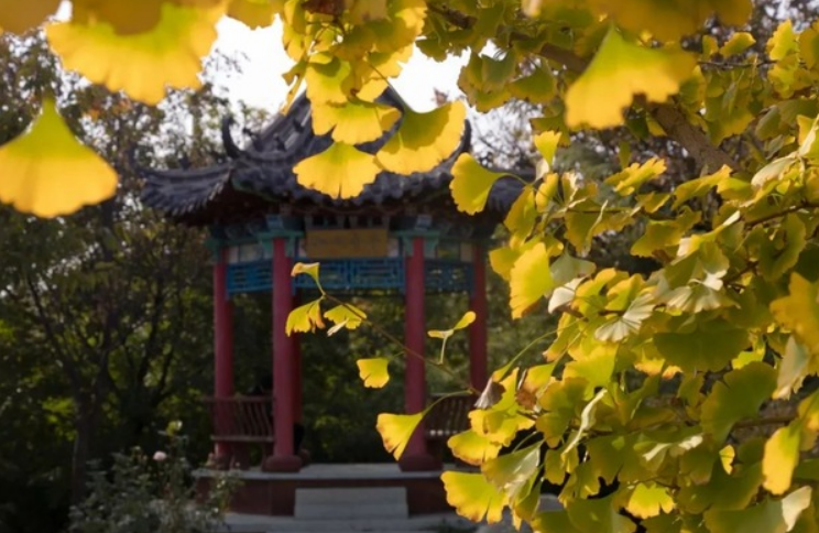 山东改名比较成功的大学，只是一所二本，但校名看起来像985