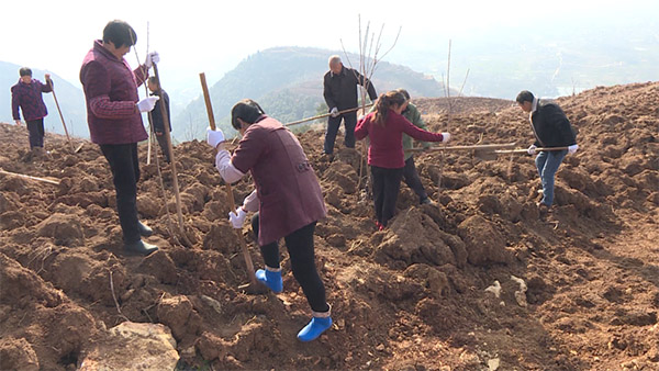 上高山下地头 南郑区农技专家送技术下乡
