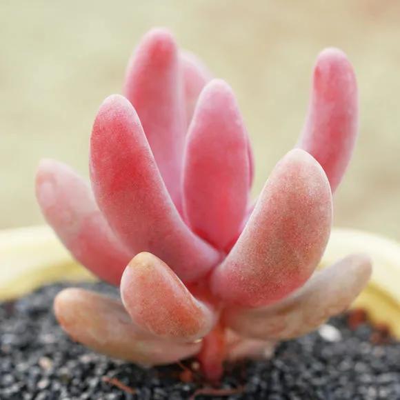 人生百味经典句子