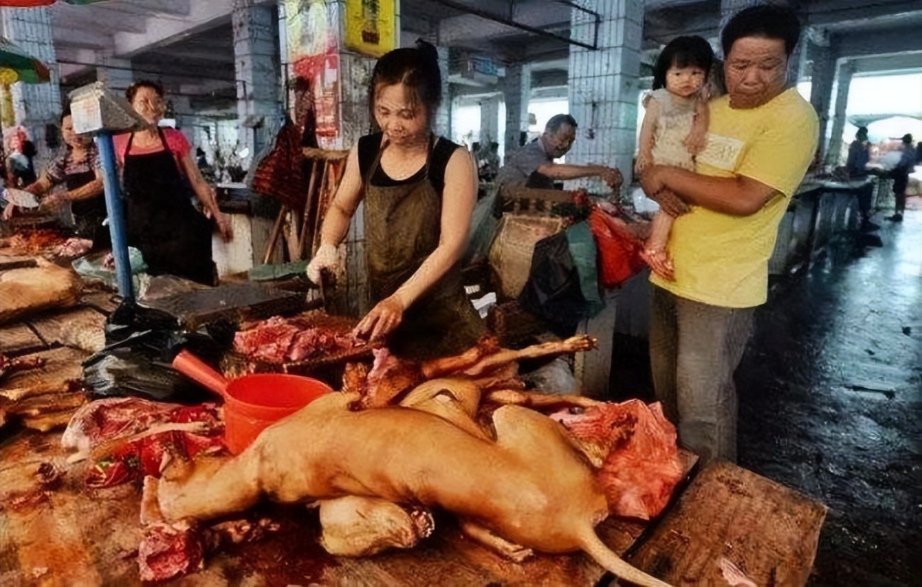 全球最大的狗肉市场，每年吃掉200万只狗，韩国人为啥这么爱吃狗