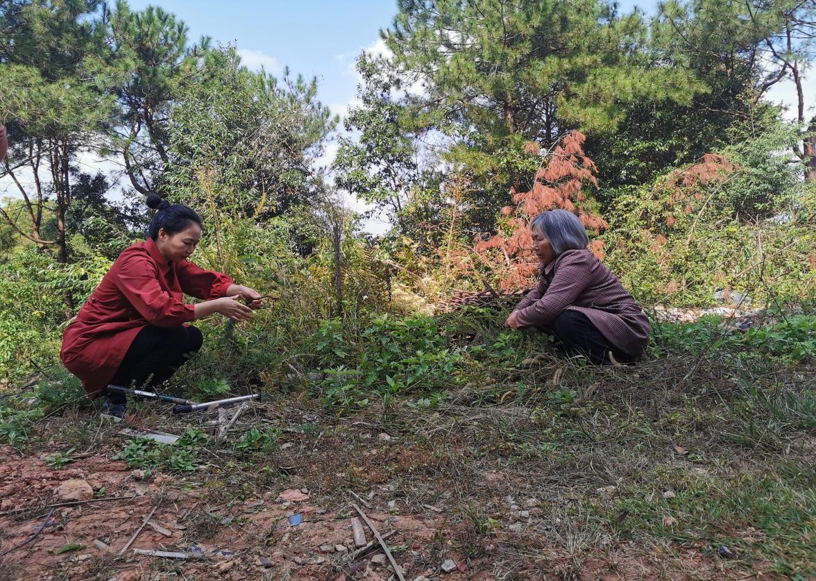 江西瑞金：中医女世家 传国粹 守本心