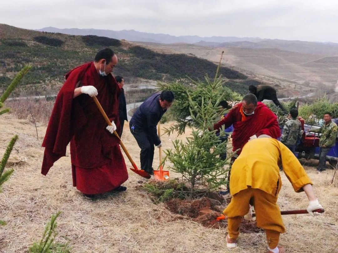 临潭县四大班子领导带头参加春季义务植树活动