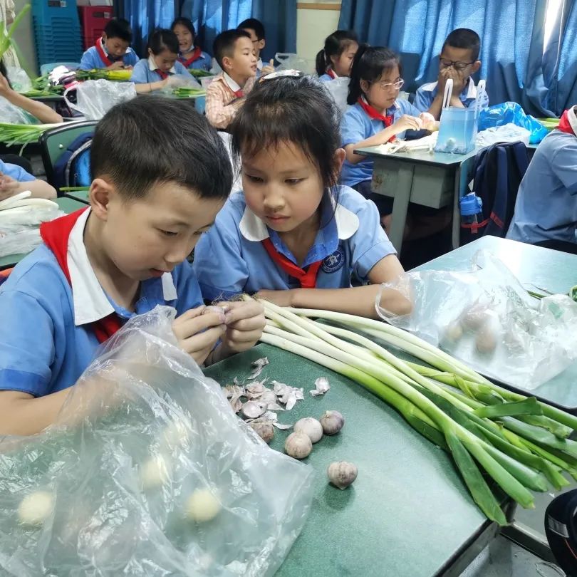 发扬劳动精神 争做先锋少年｜记川大西航港实小劳动技能大赛活动