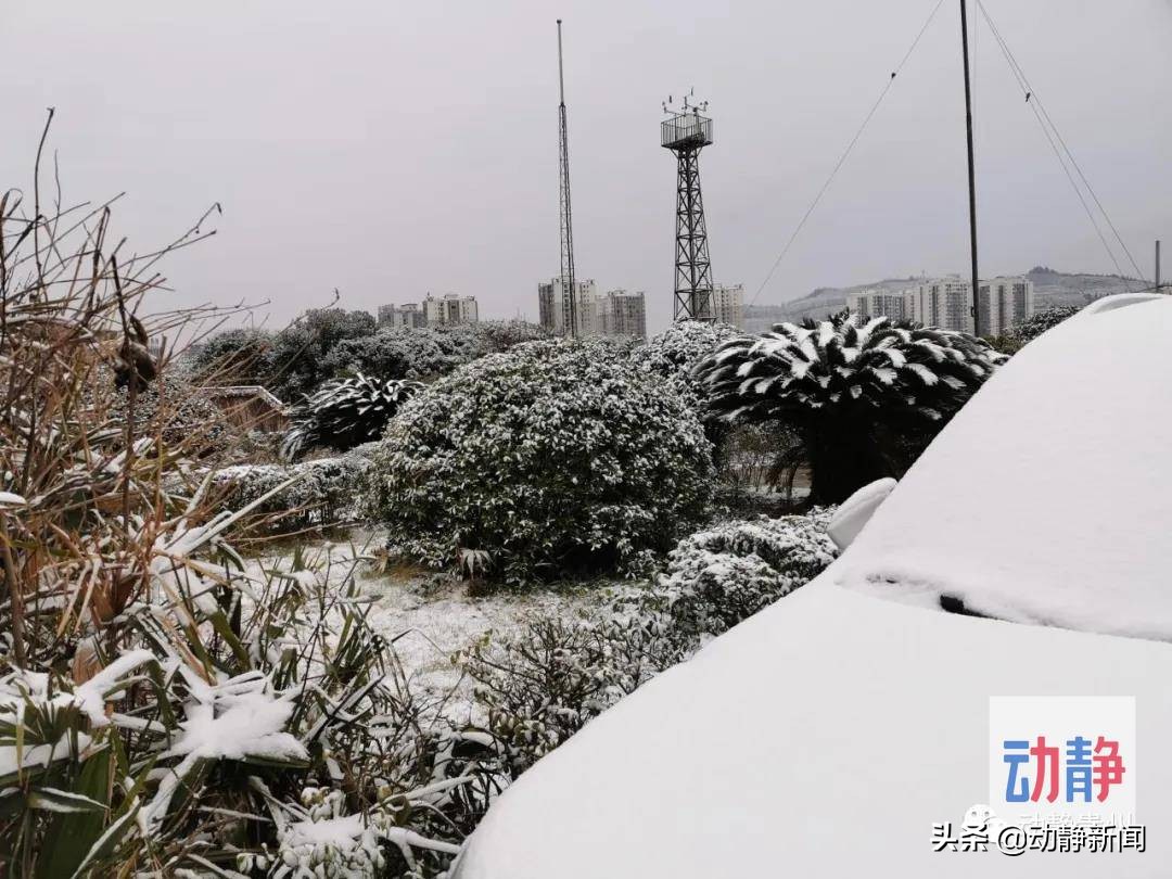 昨夜今晨，贵州多地出现降雪，这些高速公路实行交通管制