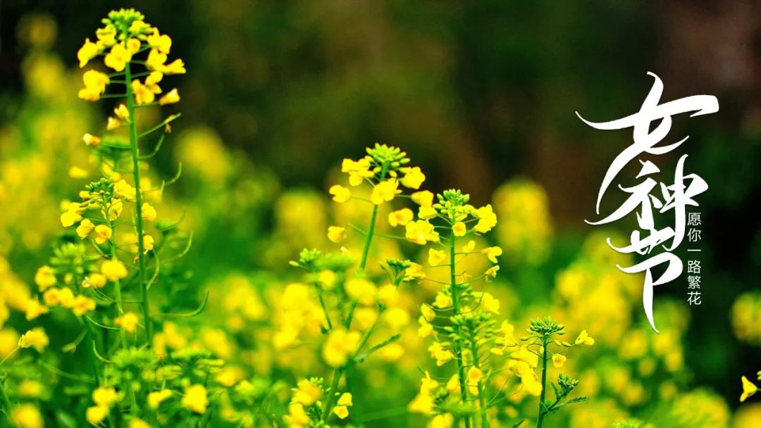 古代春图片大全大图(「诗词鉴赏」女神节，看古代才女笔下的春天，千般妩媚万种风情)