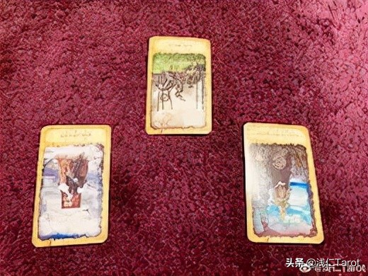 浅仁周运（1.24-1.30）| 年前最后一周，金星顺行，值得期待