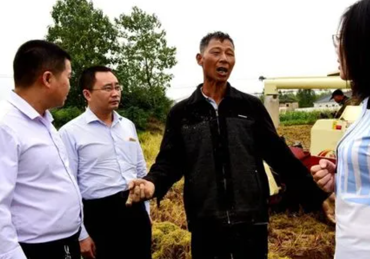 公务员“辞职信”走红，辞职理由引起同行共鸣，网友却直言太年轻