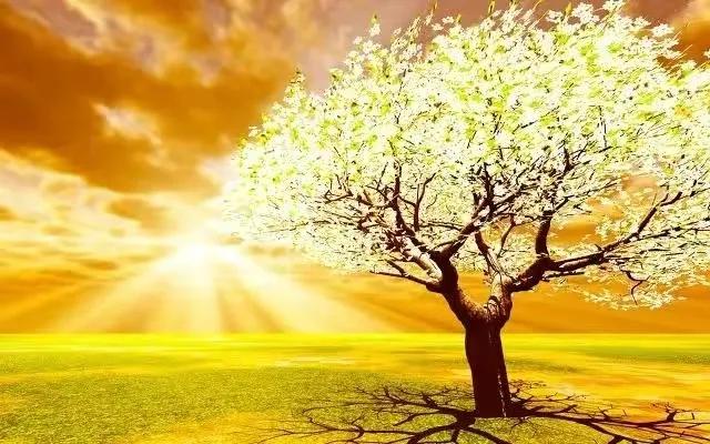 高考实现梦想（2022高考押题）