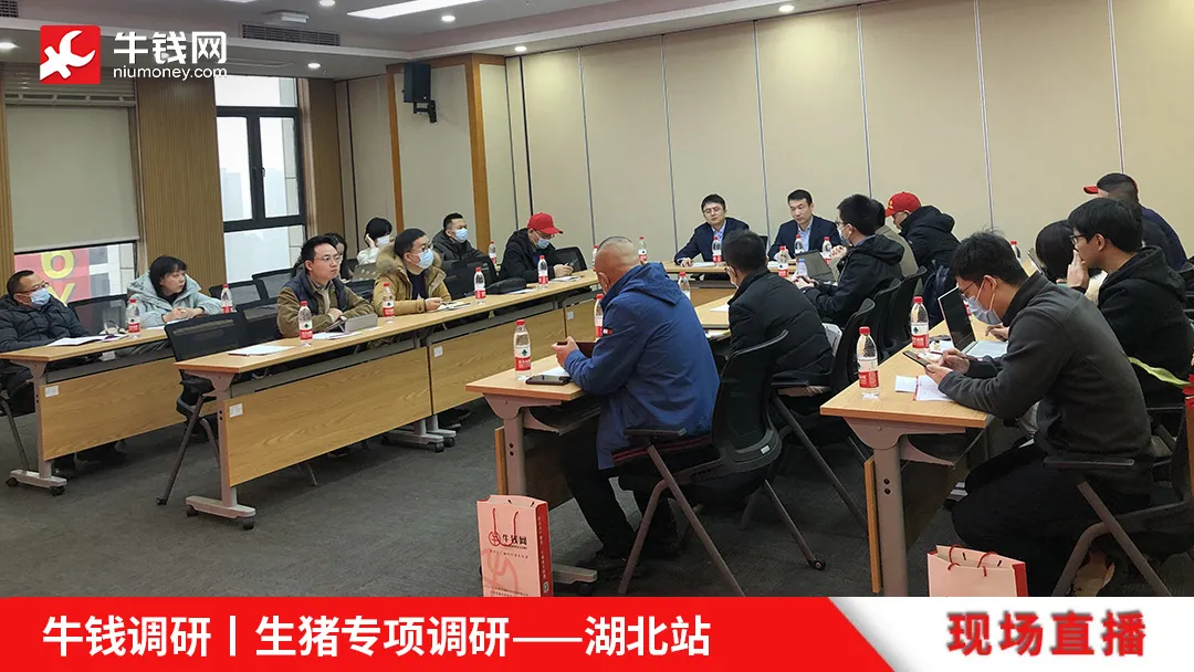 牛钱调研 | 湖北生猪专项调研第一天