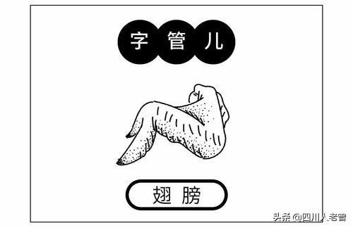 巴蜀语遗韵——泸州话的方音、词汇与语法