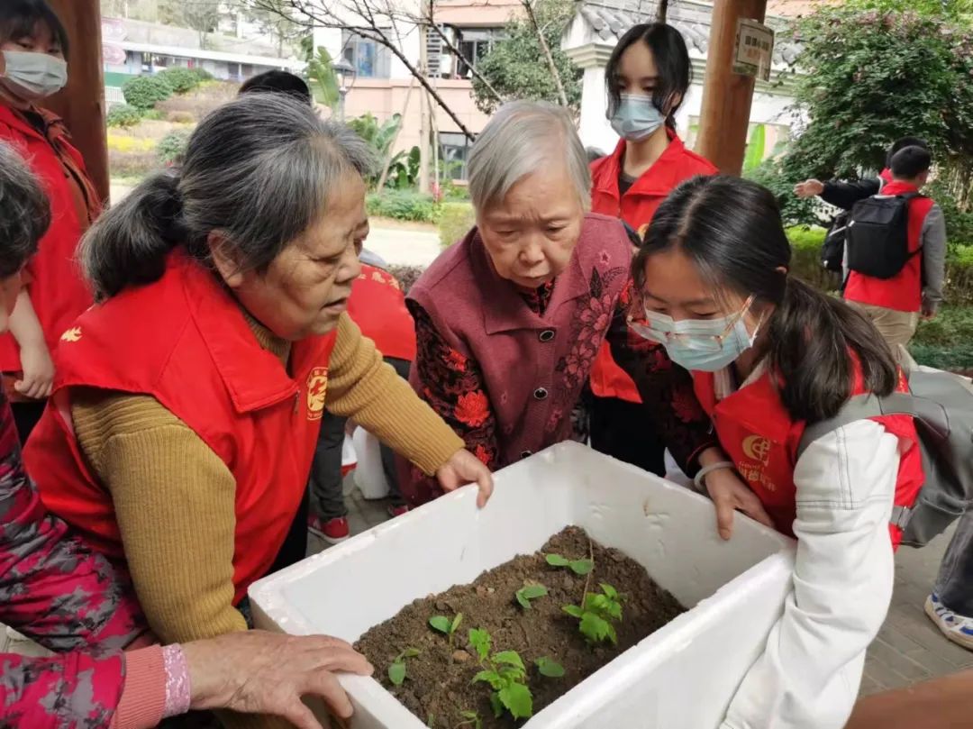 不亦乐乎！养老院可以种菜了